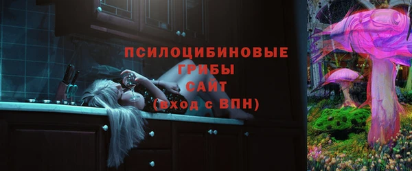 молекула духа Армянск