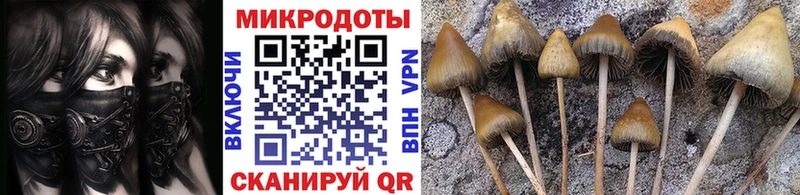 Галлюциногенные грибы Psilocybine cubensis  купить закладку  Красный Кут 